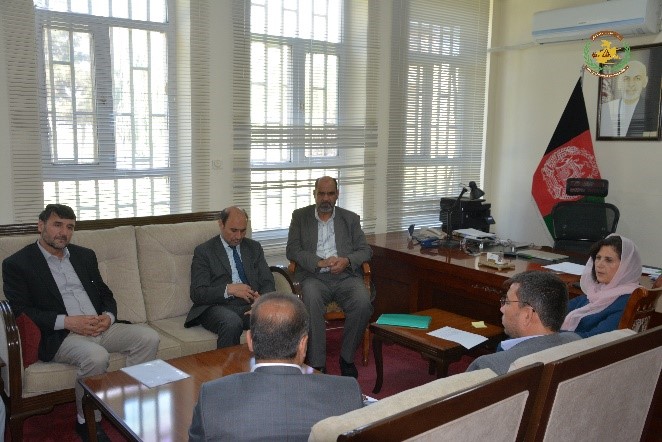 داکتر عالمه