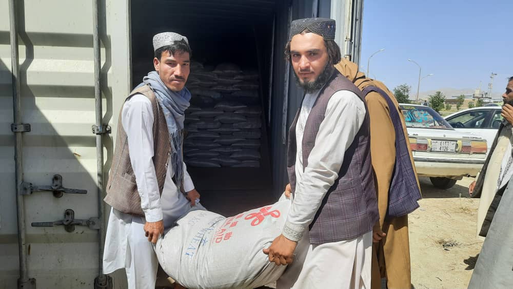 محمد اشرف حنیفی