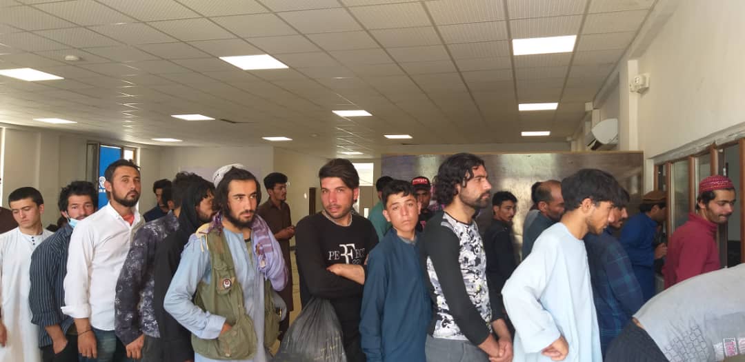 احمد شکیب حبیبی