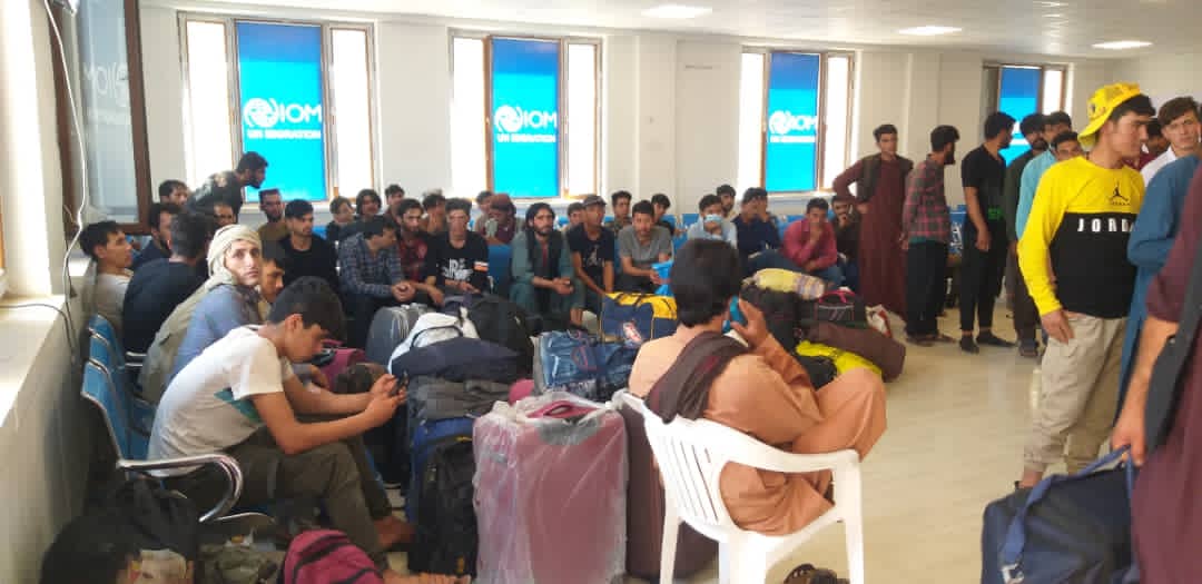 محمد اشرف حنیفی