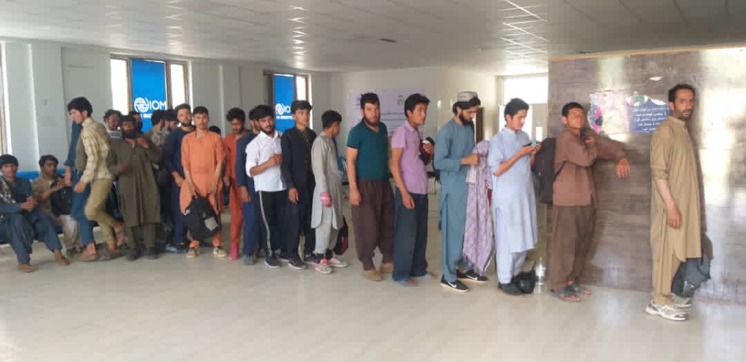 محمد اشرف حنیفی