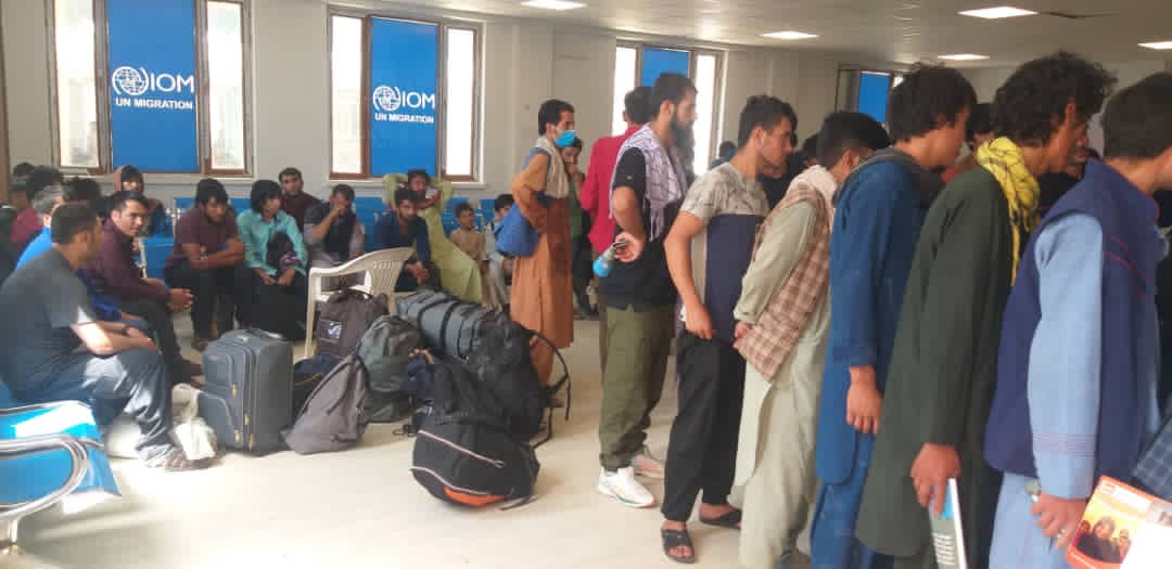 محمد اشرف حنیفی