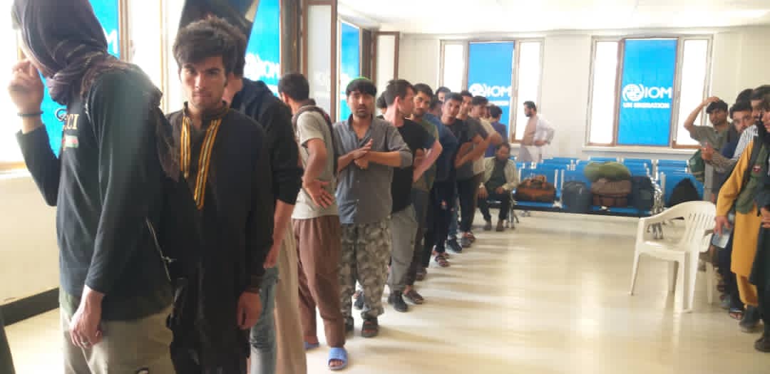 احمد شکیب حبیبی