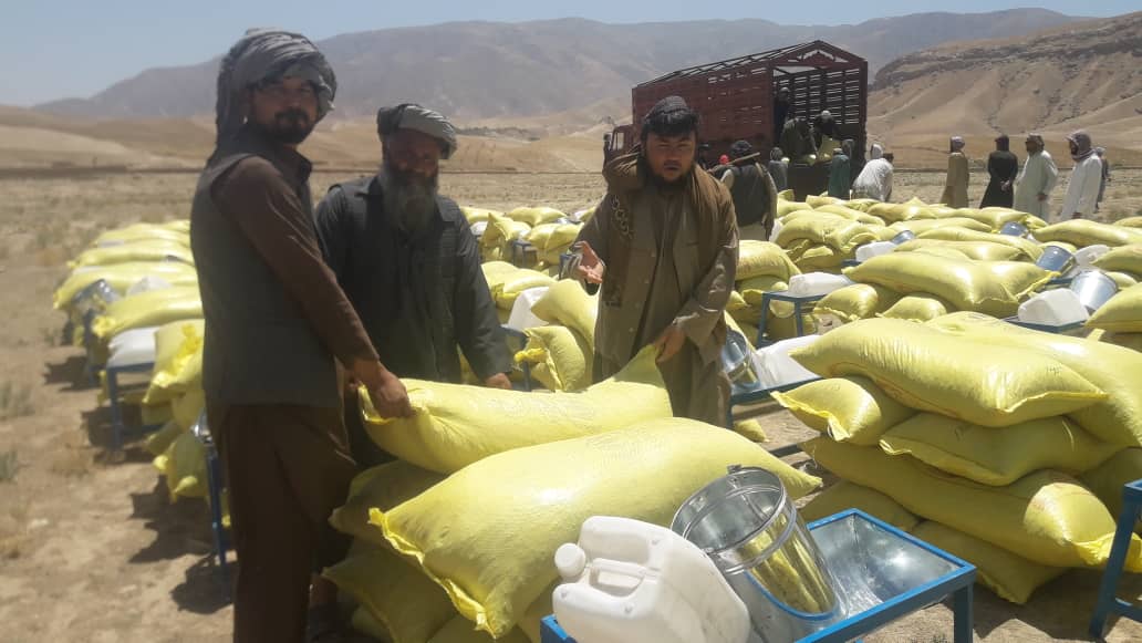 محمد اشرف حنیفی