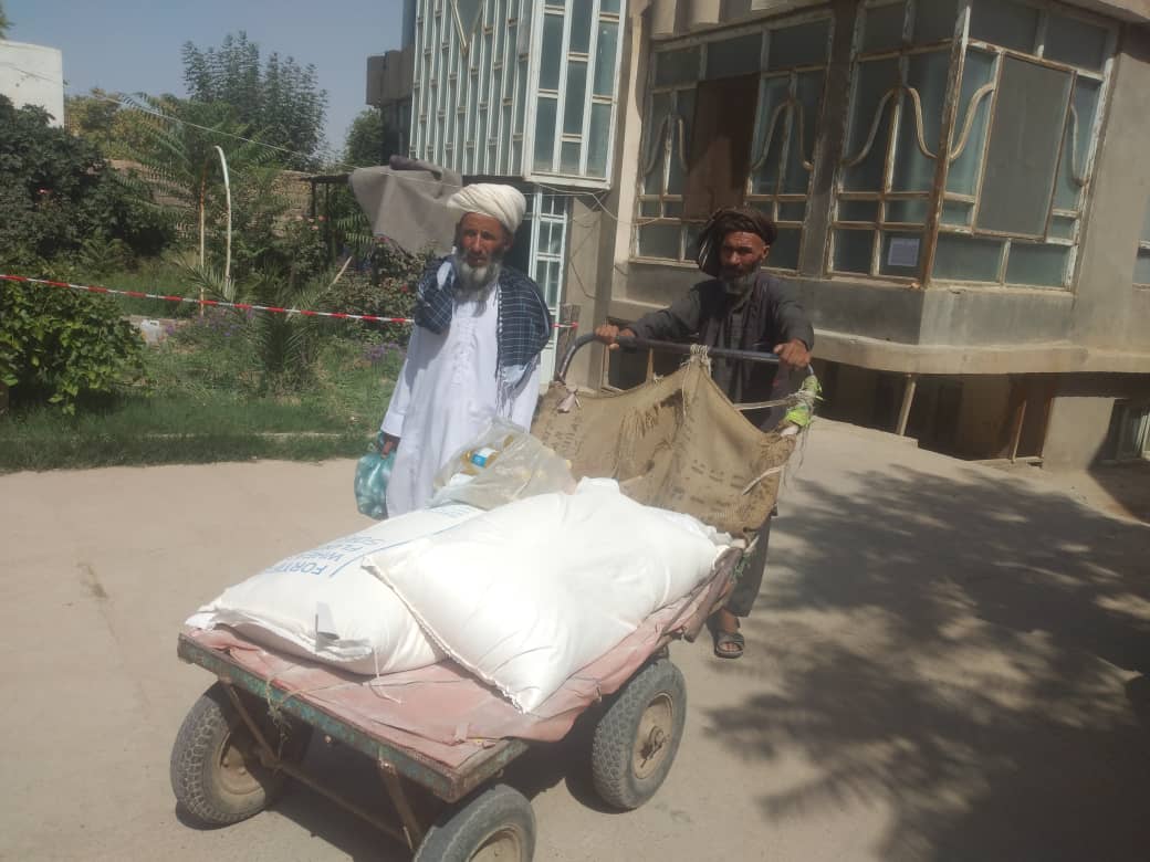 محمد اشرف حنیفی