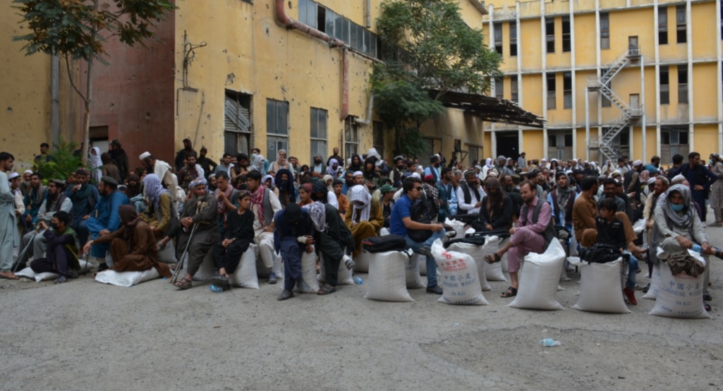 محمد اشرف حنیفی