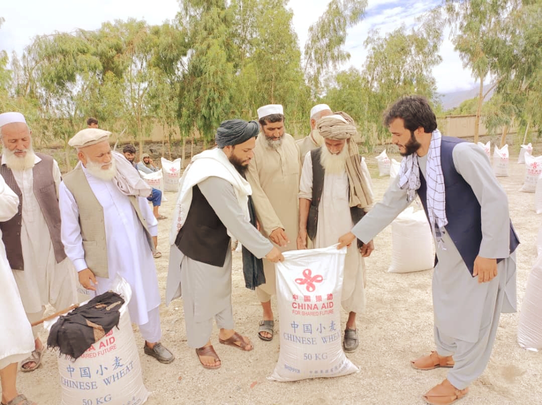 محمد اشرف حنیفی