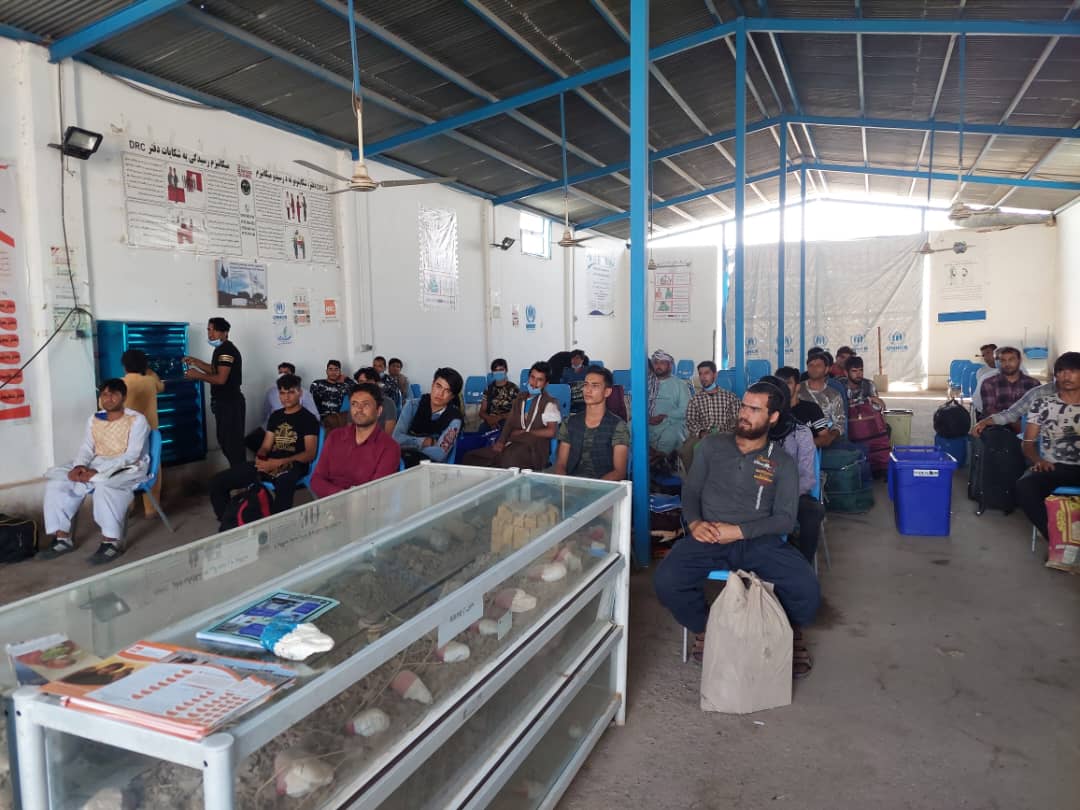 محمد اشرف حنیفی